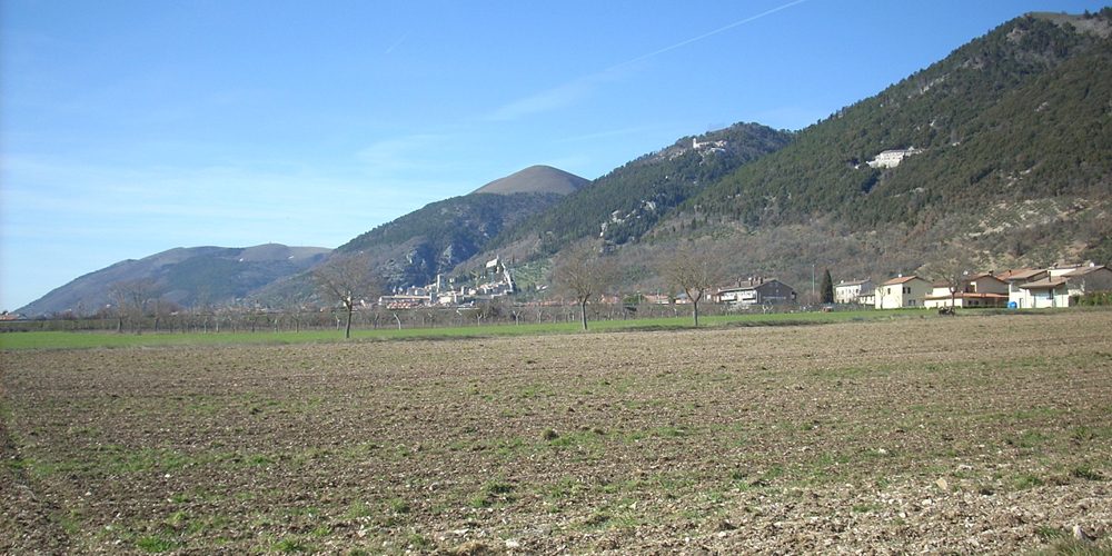 Macroarea di fontecese | STAR Studio Tecnico Associato Ragni Gubbio